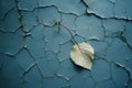 a single leaf on a cracked blue wall