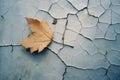 a single leaf on a cracked wall