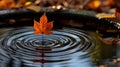 A single leaf floating in a pool of water with ripples, AI Royalty Free Stock Photo