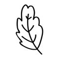Single leaf of oak tree. Vector illustration in doodle style isolated on white background. Design element for postcard, logo, icon Royalty Free Stock Photo
