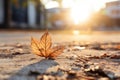 a single leaf sits on the ground in front of a building Royalty Free Stock Photo