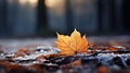 A single leaf sitting on the ground in a forest, AI