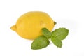 A single lemon fruit with a piece of mint