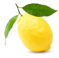 single lemon with green leaves isolated on white background. clipping path Royalty Free Stock Photo