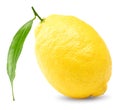single lemon with green leaves isolated on white background. clipping path Royalty Free Stock Photo