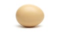 Single brown chicken egg isolated on a white background image photo Royalty Free Stock Photo