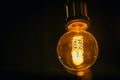 Single light bulb on dark background