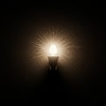 A single light bulb emits a warm glow against a textured, dark wall Royalty Free Stock Photo