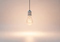 A single light bulb hangs from Royalty Free Stock Photo