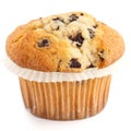 Single light chocolate chip muffin in wax liner on white Royalty Free Stock Photo