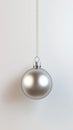 Silver christmas ornament Royalty Free Stock Photo