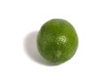 Single lime