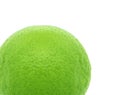 Single lime on white background