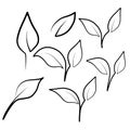 Single Line Drawing Leaves Vector Set with white and black color