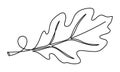 Single line drawing of an oak leaf with a stem and veins minimalist vector Royalty Free Stock Photo