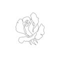 Single line flower illustration. Line art rose blossom for print, tattoo, card, invitation and more. Black and white outline Royalty Free Stock Photo