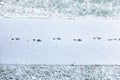Single line of footsteps in fresh snow in the middle of sidewalk, grass on both side Royalty Free Stock Photo