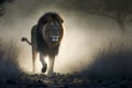 Single lion looking regal standing proudly on a small hill. Neural network AI generated Royalty Free Stock Photo