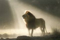 Single lion looking regal standing proudly on a small hill. Neural network AI generated Royalty Free Stock Photo