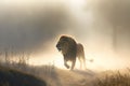 Single lion looking regal standing proudly on a small hill. Neural network AI generated Royalty Free Stock Photo