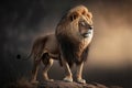 Single lion looking regal standing proudly on a small hill Royalty Free Stock Photo