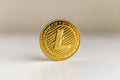 Single litecoin coin on the surface cryptocurrency