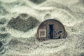 Single litecoin in sand