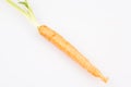 Single little carrot for food snack in white background