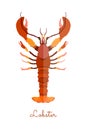 Single Lobster in flat style isolated on white