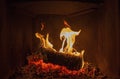 Single log burning in fireplace over glowing embers Royalty Free Stock Photo