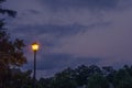 Single lone street light lamp post at night shining in the dark in the evening