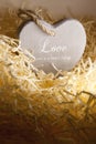 Single lone wooden heart in a love nest