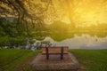 Single lonely chair near the nature lake during sunrise. Royalty Free Stock Photo