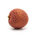 Single Lychee Fruit with Textured Red Skin on White Background tropical fruit exotic fruit Royalty Free Stock Photo