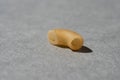 A single macaroni on grey background Royalty Free Stock Photo