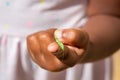 Single Meconema thalassinum on a child& x27;s finger