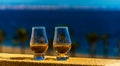 Single malt whisky in the glass, luxurious tasting glass