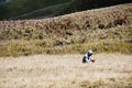 Single man in hoodie sitting alone in grass field, mysterious lonely guy
