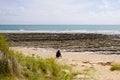 Single man sitting rocks on sand beach in behind rear view