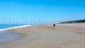 Single man solo traveller walking on rhe shore of the ocean beach with group of seagull in the blue sky Royalty Free Stock Photo