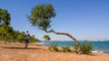 Single man taking a morning walk near the sea