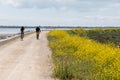 Single man and a young woman on the bike path of Ile de Re Royalty Free Stock Photo