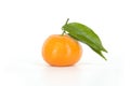 Single mandarin Royalty Free Stock Photo