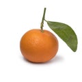 Single mandarin fruit with leaf Royalty Free Stock Photo