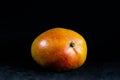 single mango fruit against a black background - nice motif for backgrounds of desktops