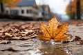 a single maple leaf laying on the ground in front of a house