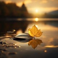 a single maple leaf sits on a rock in the water at sunset Royalty Free Stock Photo