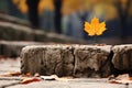 a single maple leaf sits on top of a stone wall