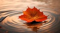 A single maple leaf becomes a tranquil masterpiece upon the water.