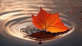 A single maple leaf becomes a tranquil masterpiece upon the water.